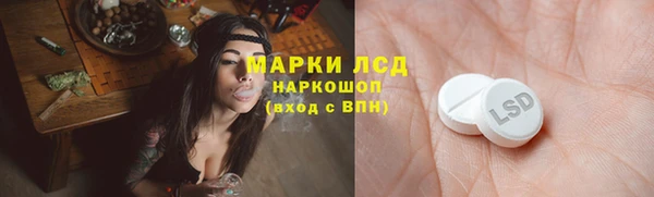 крисы Лабытнанги