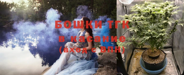 гашик Лагань