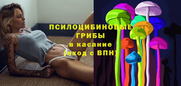 винт Ладушкин