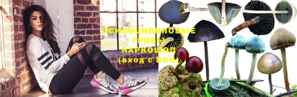 крисы Лабытнанги