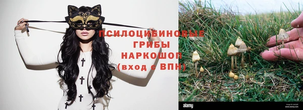винт Ладушкин
