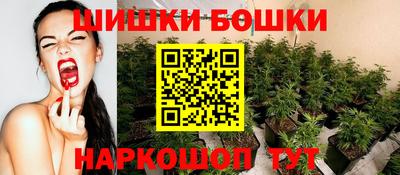 spice Кимры