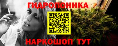 spice Кимры