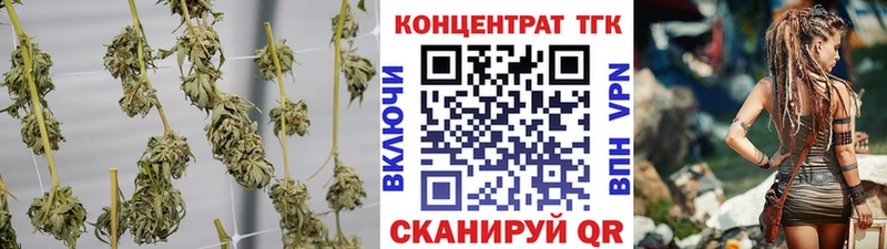 где продают   Сланцы  ТГК гашишное масло 