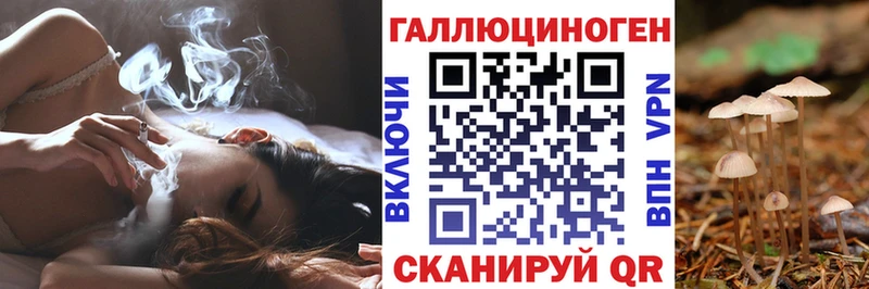 гидра tor  Сланцы  Псилоцибиновые грибы мицелий  купить наркоту 