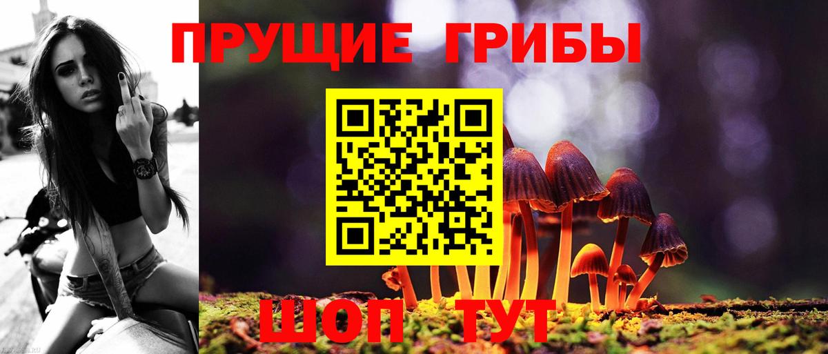 даркнет сайт  Псилоцибиновые грибы мицелий  Вход с VPN  Сланцы  Галлюциногенные грибы Magic Shrooms 